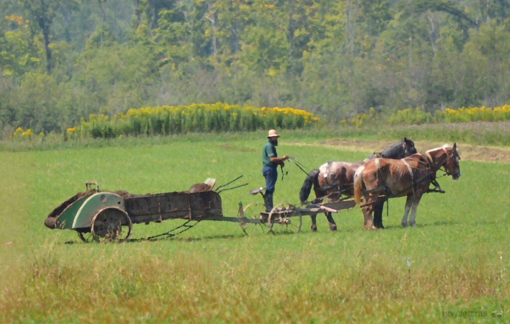 Amish-Mennonite Community